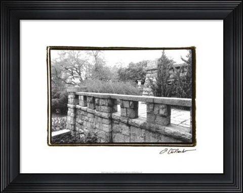 Framed Garden Grace I Print