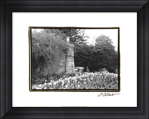 Framed Garden Grace II Print