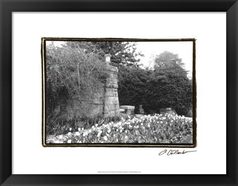Framed Garden Grace II Print