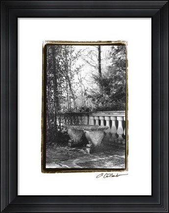 Framed Garden Grace III Print