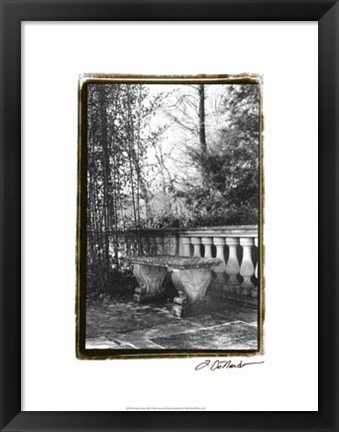 Framed Garden Grace III Print