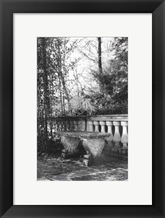 Framed Garden Grace III Print