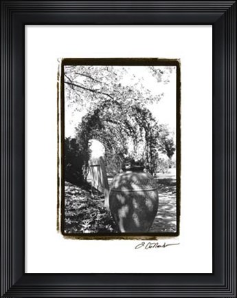 Framed Garden Grace IV Print