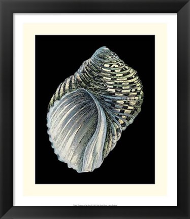 Framed Treasures of the Sea III Print