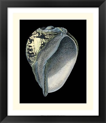 Framed Treasures of the Sea VI Print