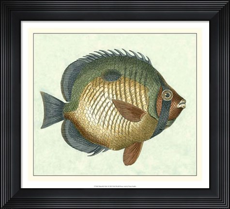Framed Butterfly Fish I Print