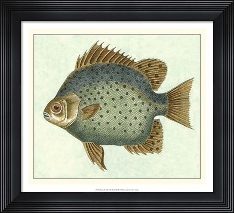 Framed Butterfly Fish II Print