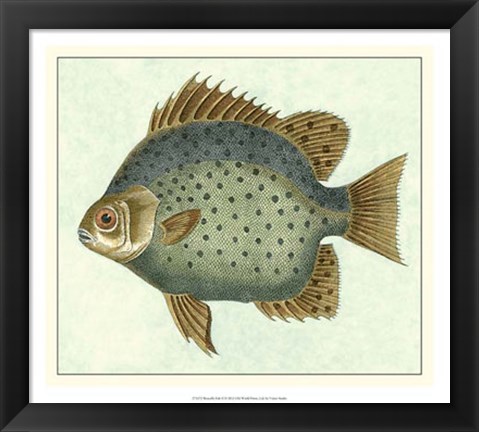 Framed Butterfly Fish II Print