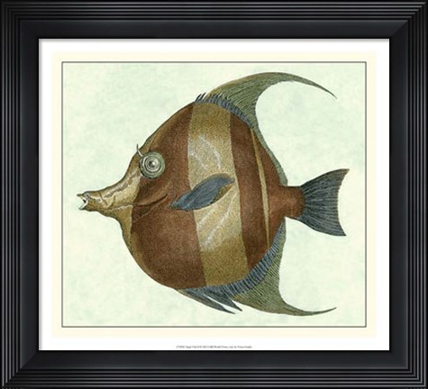 Framed Angel Fish II Print