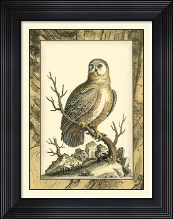 Framed Majestic Perch I Print