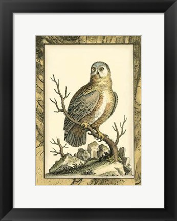 Framed Majestic Perch I Print