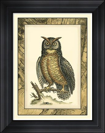Framed Majestic Perch II Print