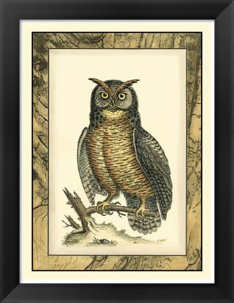 Framed Majestic Perch II Print