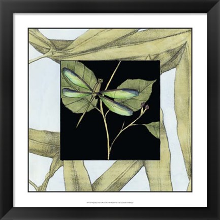 Framed Dragonfly Inset I Print