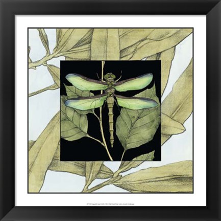 Framed Dragonfly Inset II Print