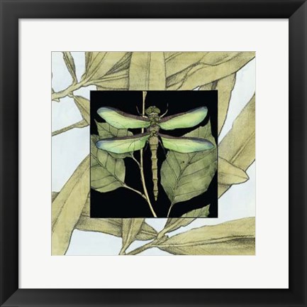 Framed Dragonfly Inset II Print