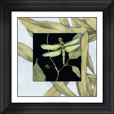 Framed Dragonfly Inset III Print