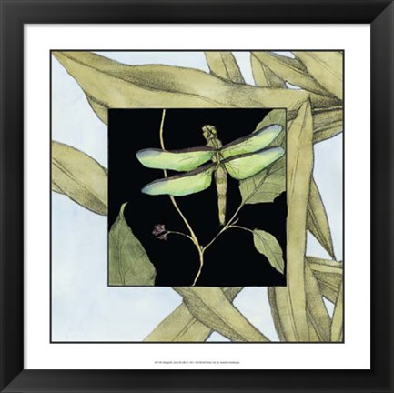 Framed Dragonfly Inset III Print