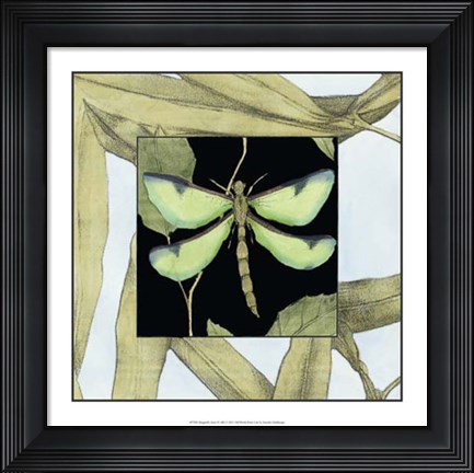Framed Dragonfly Inset IV Print
