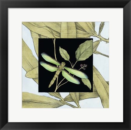 Framed Dragonfly Inset V Print