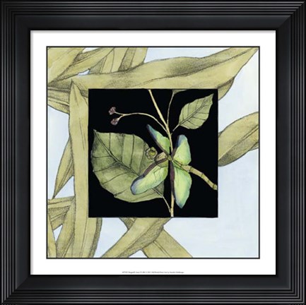 Framed Dragonfly Inset VI Print