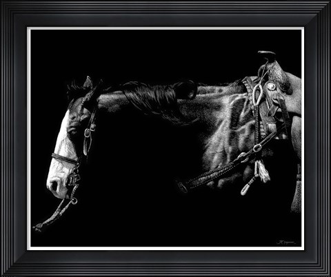 Framed Baldfaced Bulldogger Print