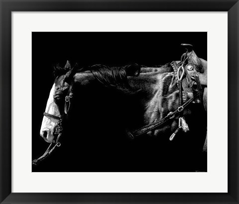 Framed Baldfaced Bulldogger Print
