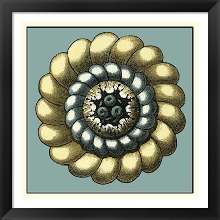 Framed Floral Medallion III Print