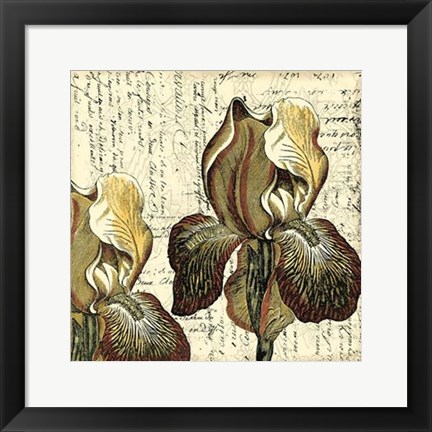 Framed Vintage Composition III Print