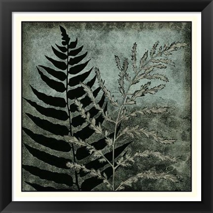 Framed Illuminated Ferns III Print