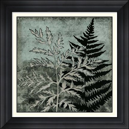 Framed Illuminated Ferns IV Print