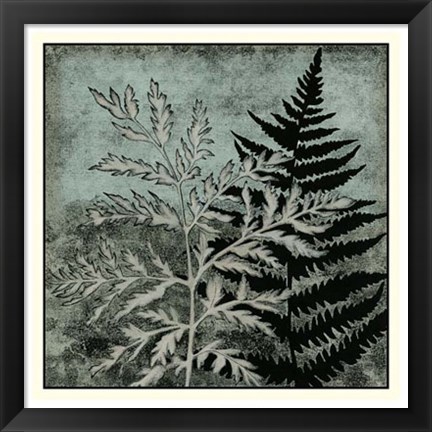 Framed Illuminated Ferns IV Print