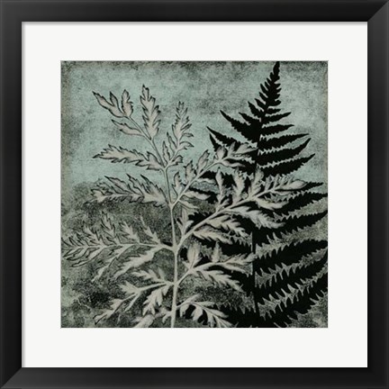 Framed Illuminated Ferns IV Print