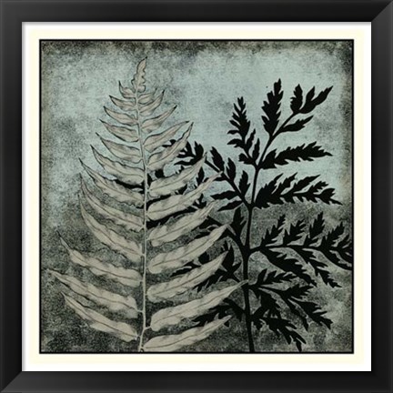 Framed Illuminated Ferns VI Print