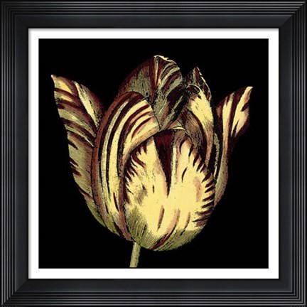 Framed Dramatic Blooms V Print