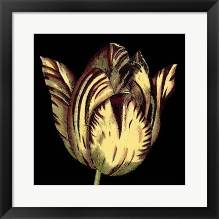 Framed Dramatic Blooms V Print