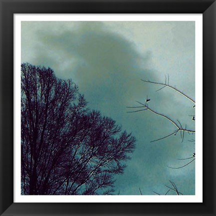 Framed Nocturne II Print