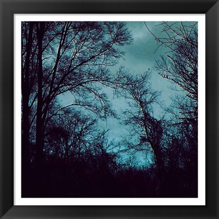 Framed Nocturne IV Print