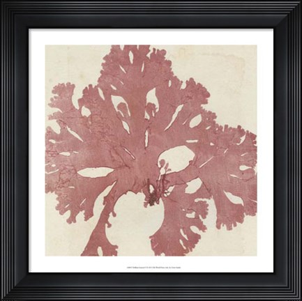 Framed Brilliant Seaweed V Print
