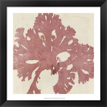 Framed Brilliant Seaweed V Print