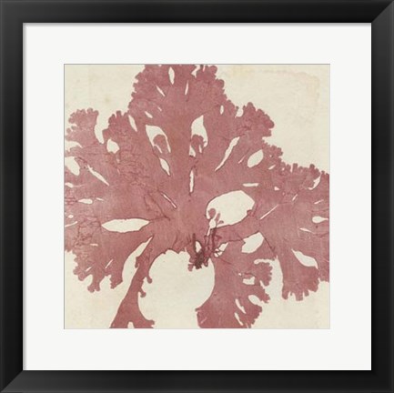 Framed Brilliant Seaweed V Print