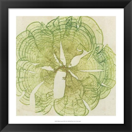 Framed Brilliant Seaweed VIII Print