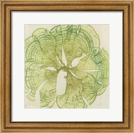 Framed Brilliant Seaweed VIII Print