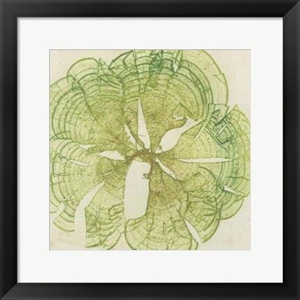 Framed Brilliant Seaweed VIII Print