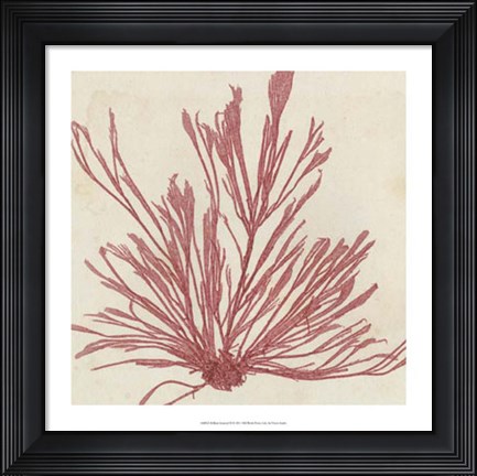 Framed Brilliant Seaweed IX Print