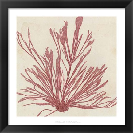 Framed Brilliant Seaweed IX Print