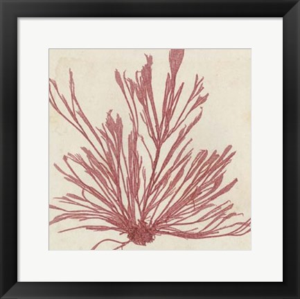 Framed Brilliant Seaweed IX Print