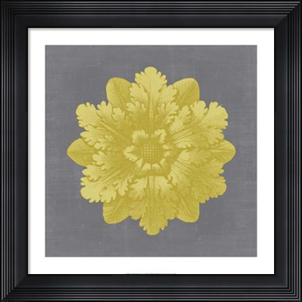 Framed Gilded Rosette V Print