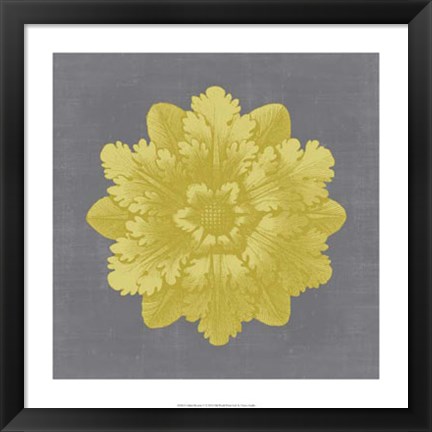 Framed Gilded Rosette V Print