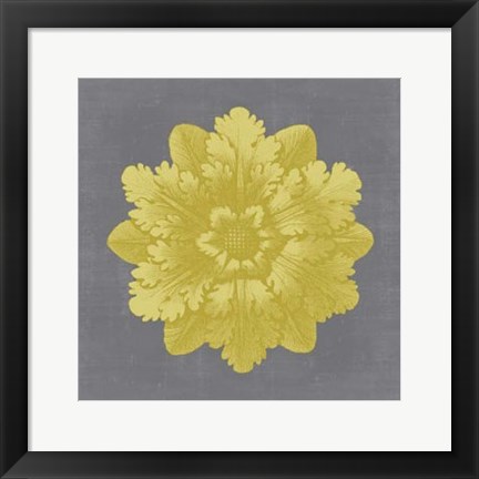 Framed Gilded Rosette V Print
